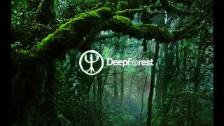 Deep Forest (Deep Forest Album)