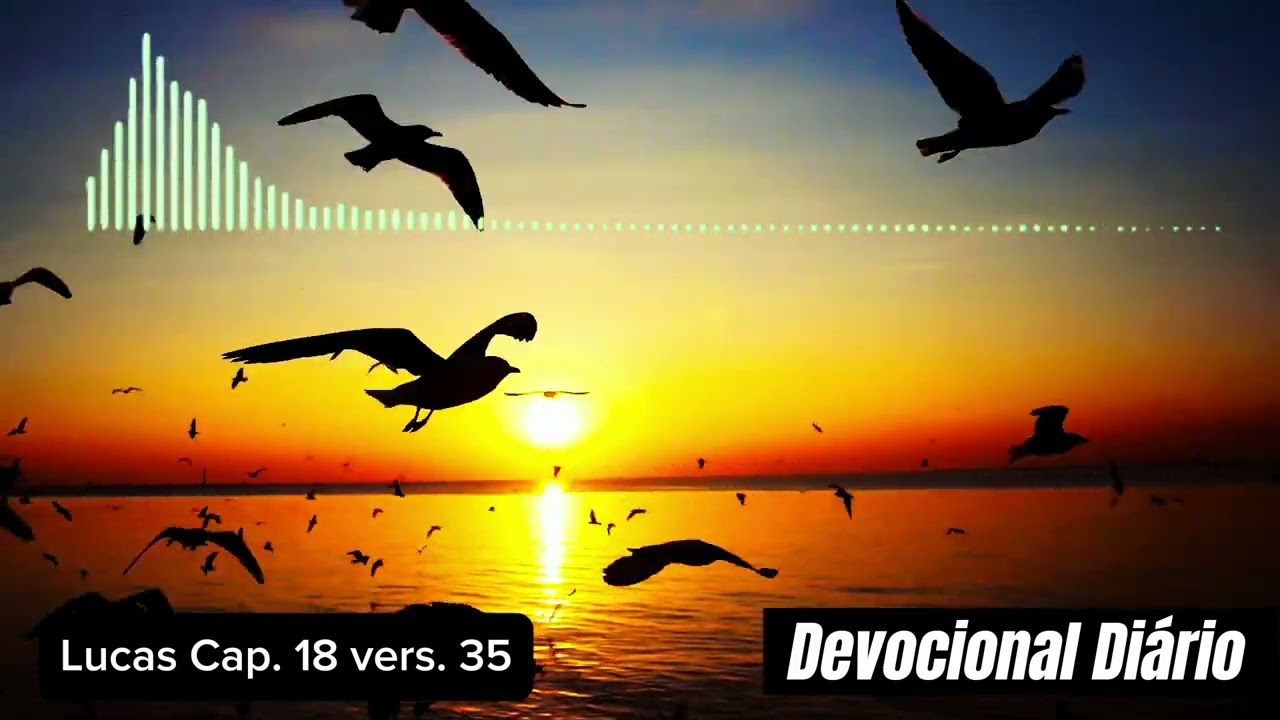 DEVOCIONAL BÍBLICO DIÁRIO DIA 09/09