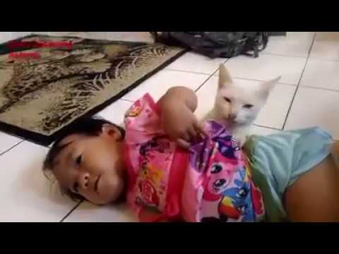 Babies annoying cats – Funny baby & Ashima