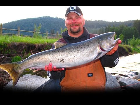 download lagu mp3 mp4 Costco Salmon Kosher For Passover, download lagu Costco Salmon Kosher For Passover gratis, unduh video klip Costco Salmon Kosher For Passover