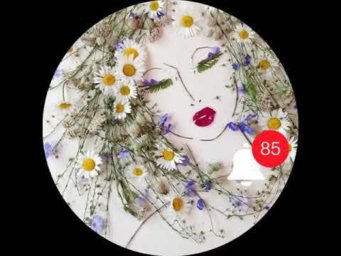 beautifull leaves and flowers art