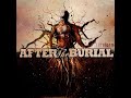 After the burial - Ometh (from Rareform 2008)
