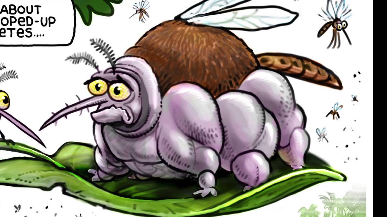 The week's best political cartoons