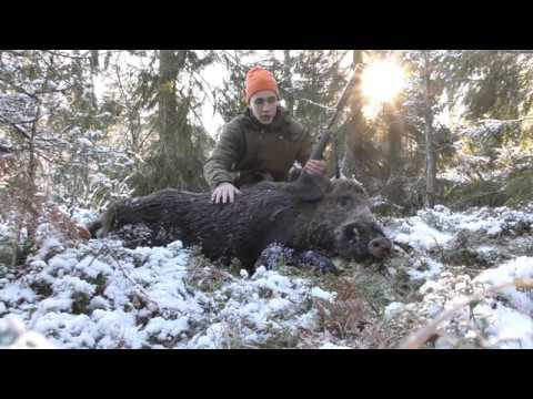 SMÅLANDSJÄGARNA - Drevjakt del 1