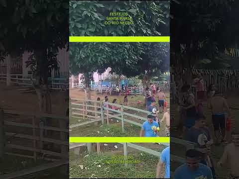 SANTA MARIA DO RIO NEGRO - DERRUBADA DE MASTRO