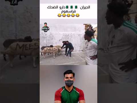 الجيران 🇩🇿🇩🇿🇩🇿 دارو  الضحك فراسهوم😂😂😂😂😂