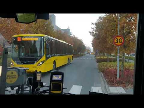 Uppsala UL ligne 100 to Campus Ultuna during Autumn