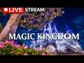 LIVE Magic Kingdom Early Morning Walk In The Park Live Stream