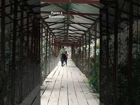 Conociendo los hermosos paisajes  de Colombia, Bucarasica Norte de Santander