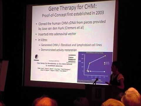 2012 CRF Conference: Dr. Jean Bennett, pt. 2