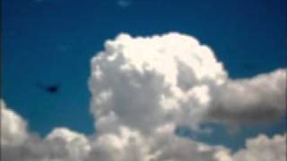 Kid Congo and the Pink Monkey Birds - House of Cards