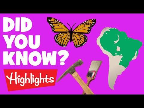 Did you know? #1 | 2020 | Laugh and Learn | Highlights Kids