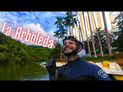 Hay oro en la Arboleda #canimar #matanzas #Varadero #metaldetecting