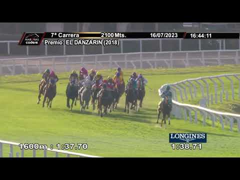 230716 c07 QUIDDITCH CHAMP