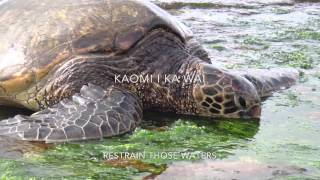E O Mai - lyrics w/English (Hawaii Nature)