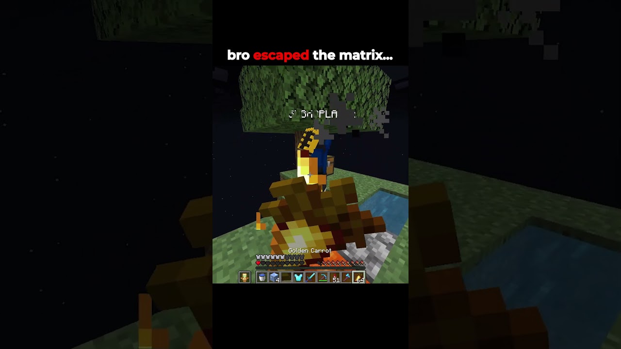 Bro Escaped the matrix