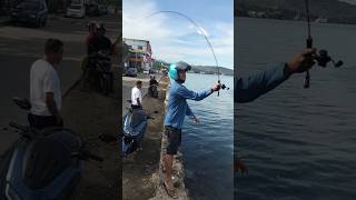 Download lagu Complete Tutorial for Squid Fishing on the Shore #shorts #shortvideo #short #shortsvideo #shortsfeed mp3