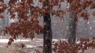preview picture of video 'Rare Snow in Central Mississippi'