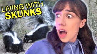 The Skunks Living At My House Almost Sprayed Me!