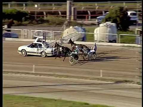 Trotto 13/07/2018 - 3ª prova di qualifica