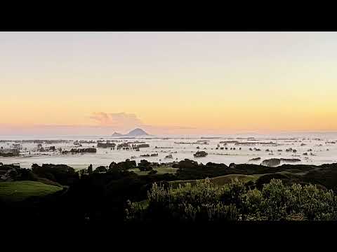 Te Wehi - Unaware (Audio)