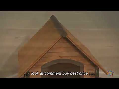 Precision Outback Country Lodge Dog House   Product Review Video