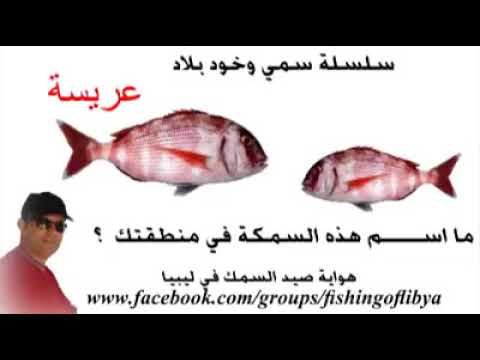 فيديو واحد thumbnail