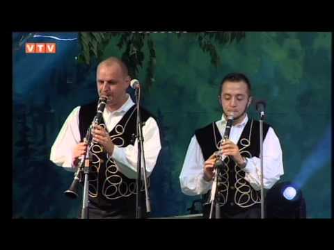 ZVUCI ZAGORJA - Polka
