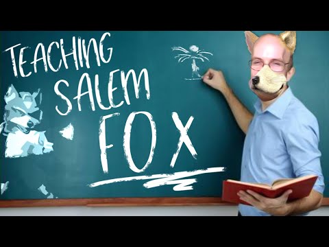 Mew2King Teaches Salem Melee Fox