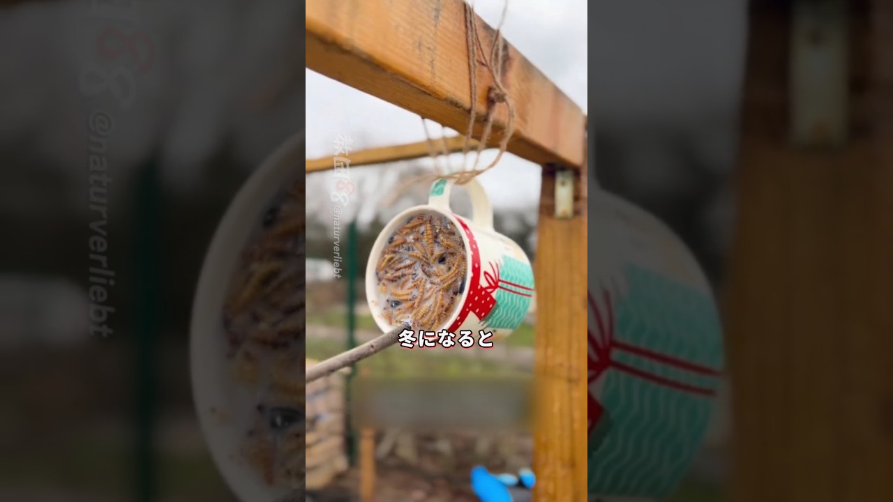 庭に下がるマグカップの正体