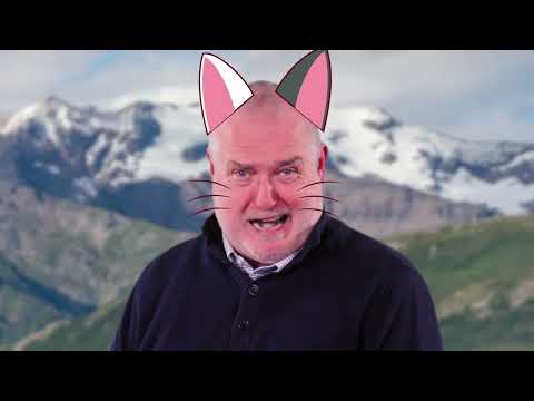 Ask Alaska: Season 1, Episode 1: Cats and Dogs