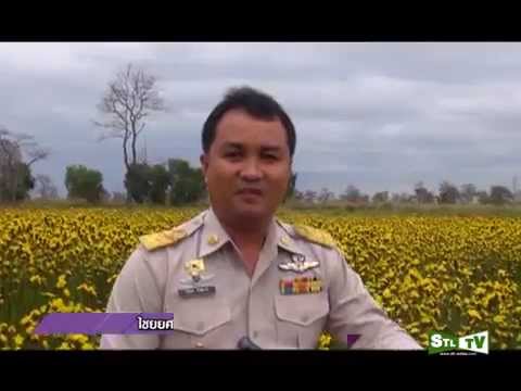 โรคสะเก็ดเงินบนเท้าของเขาอาการบวมน้ำ อำนาจของภูมิแพ้โรคผิวหนังในเด็ก