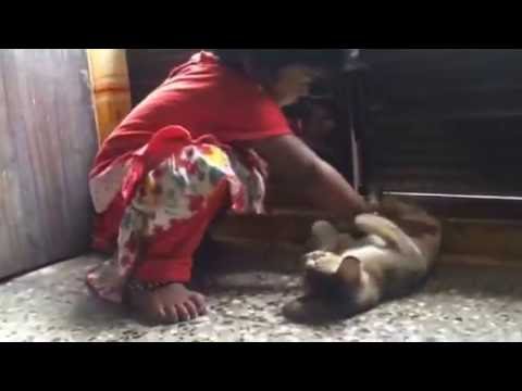 Little kid Varshasri plays with a cute kitten