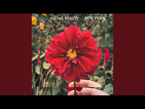 All The Beauty