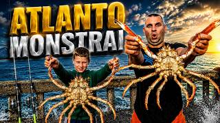 Fishing in the Atlantic Ocean | Scary sea creatures & rare fish | Undulate ray #spidercrab #rayfish