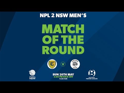 NPL 2 NSW, Round 12, Match Of The Round, Central Coast Mariners FC v Northern Tigers FC #NPLNSW