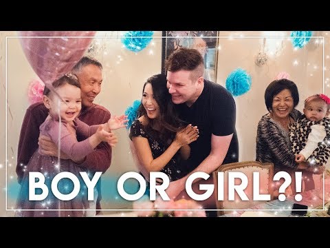 GENDER REVEAL || Baby Tiptoe 2! We're having a... Video