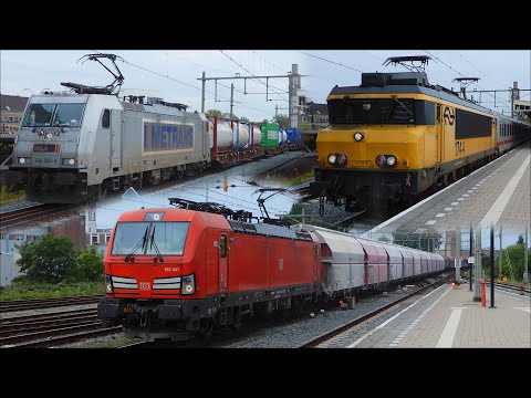Trains at Hengelo | 1st September 2023