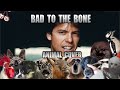 George Thorogood & The Destroyers - Bad To The Bone (Animal Cover)