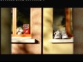 Ads 6 TV3 News 9 June 2010 Avi