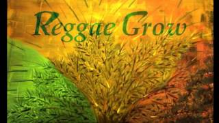 THE DYNAMICS   Whole Lotta Love   Reggae   YouTube