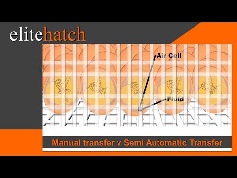 Issues with Manual Transfer
