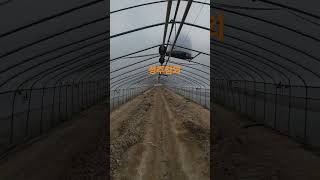 Download lagu 덩굴파쇄 마지막 정리^^#성주참외 #농장생활 #주말농장 #맛집 #미스터트롯3 #여행 #엽산 #애완동물 #귀촌생활 #성주군귀농귀촌연합회 #드론차광제도포 #드론방제 mp3