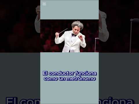 ¡Viva Maestro! | Clip Exclusivo