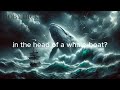 Moby Dick: Chapter 18- His Mark