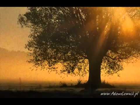 Medieval Music (European) - Under an old tree