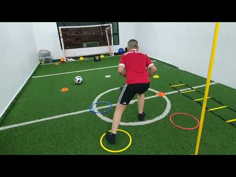 Pandemia en casa, virtualmente con el PF Andrés Rubiano. Marzo 2020.