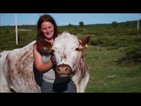 Barfuß in Norwegen - meine Erfahrung