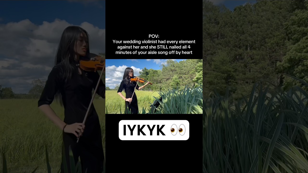 Promotional video thumbnail 3 for The Last Viobender