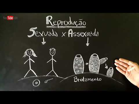 SEXUAL and ASEXUAL Reproduction - INTERNAL and EXTERNAL Fertilization